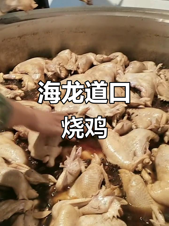 滑县姜氏海龙道口烧鸡:新鲜工艺与烤味完美结合