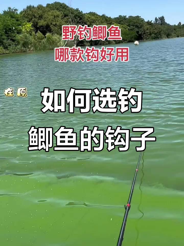 钓鲫鱼最合适的钩型选择，如何挑选最适合的鱼钩