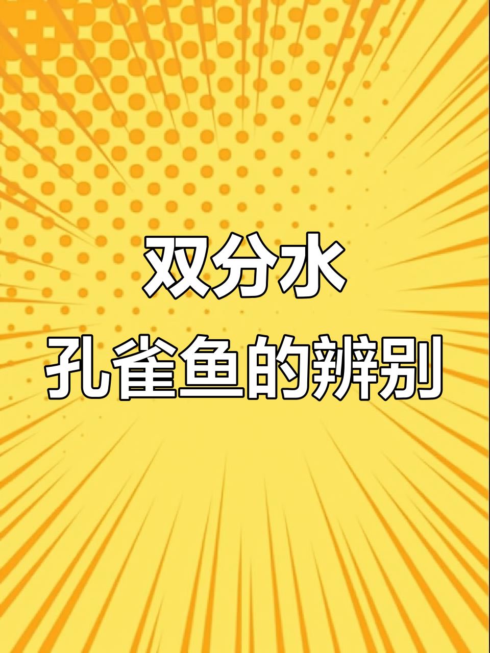 双分水鸿运当头孔雀鱼解析：如何区分品质高低