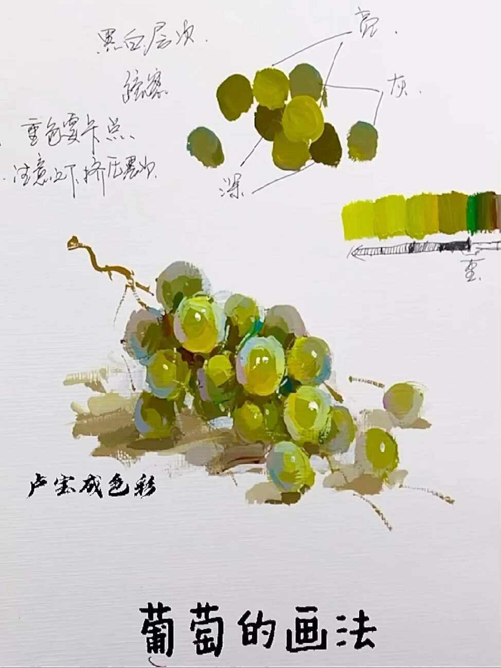 水粉静物葡萄的画法
