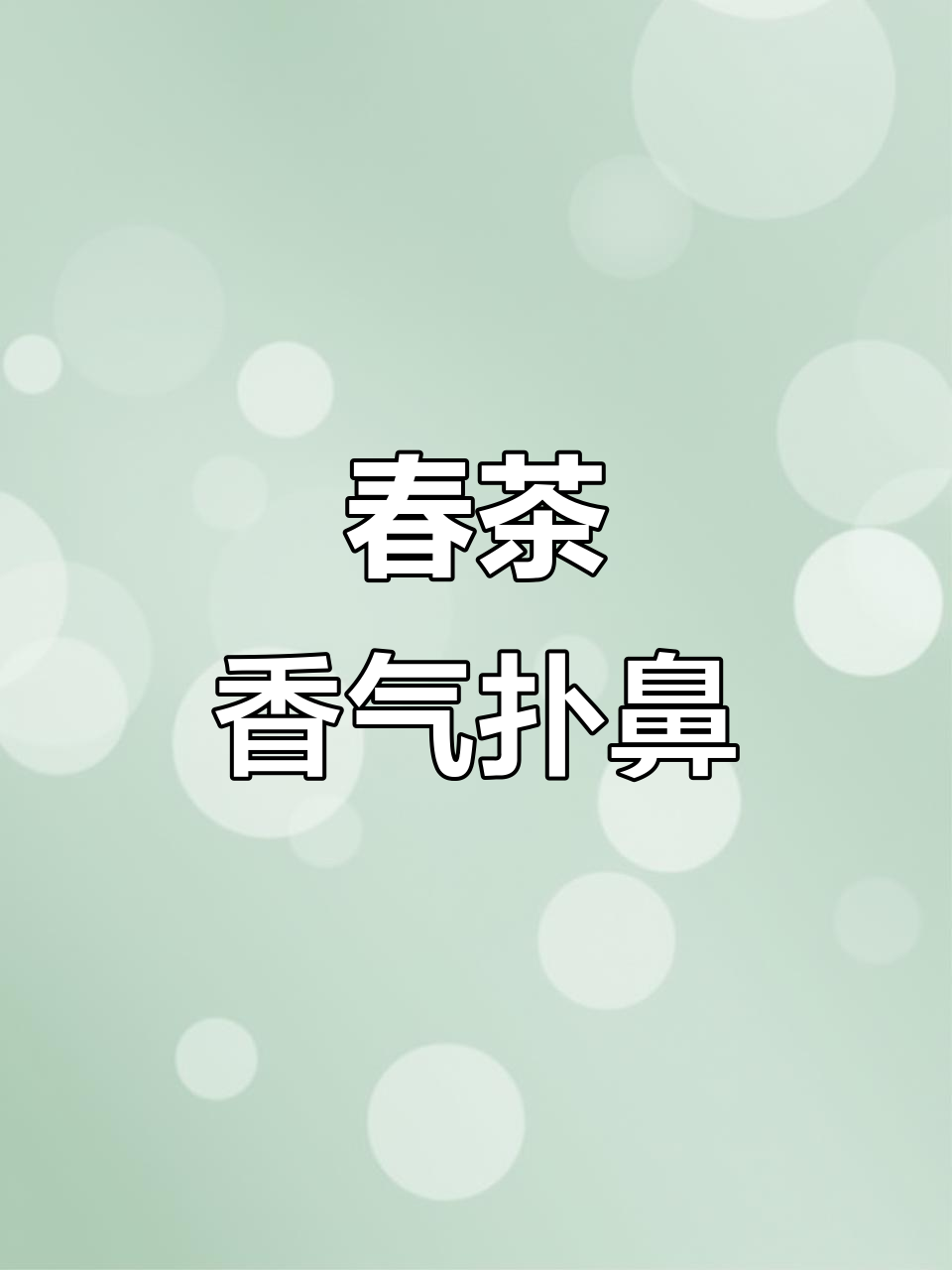 苏州青、上海青与广东菜的香味大比拼,米饭配青菜苔更香!