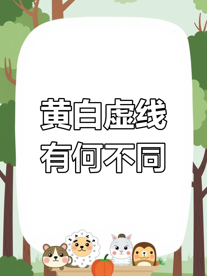 黄色虚线与白色虚线的区别,超车掉头全解析