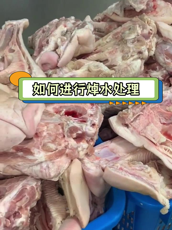 焯水的正确操作方法