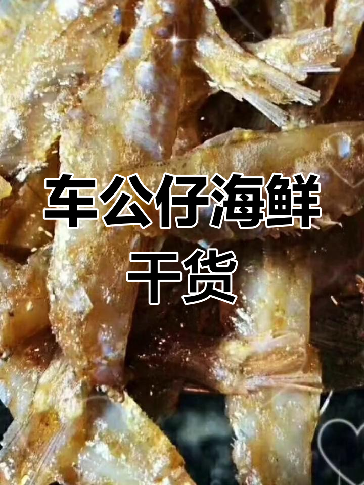 天然海鱼干,车公仔小鱼干