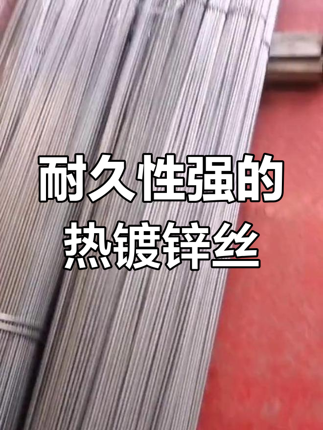 热镀锌钢丝耐用性强,适合蔬菜棚架与葡萄避雨设施