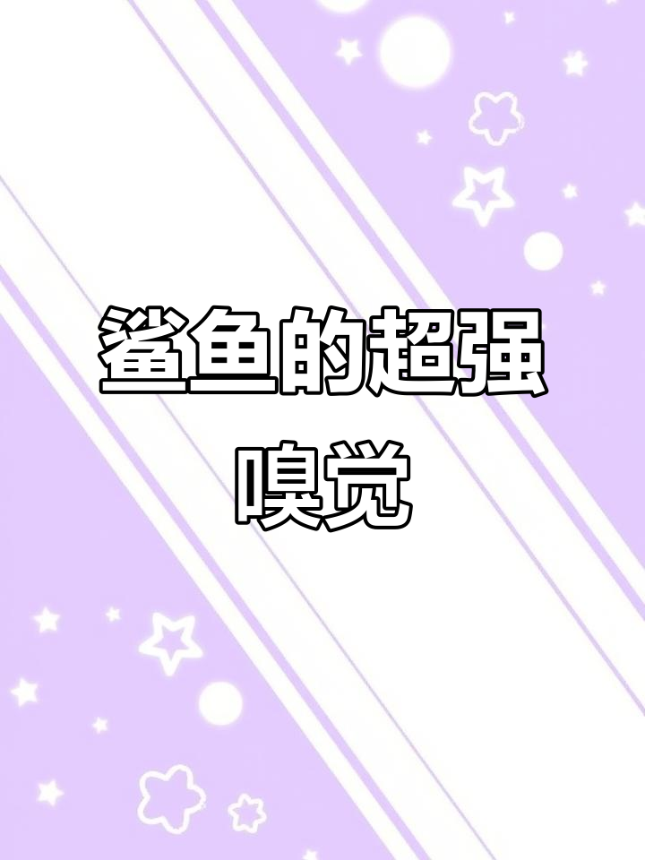 鲨鱼如何闻到几公里外的血腥味?揭秘其嗅觉奥秘