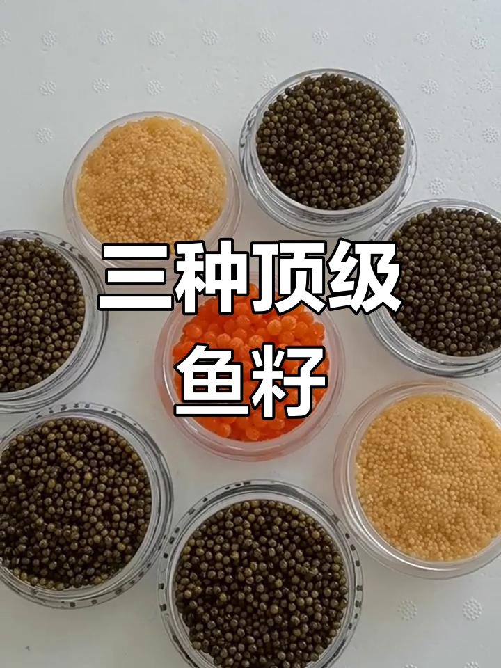 鲟黄鱼籽、大马哈鱼籽与兔子鱼籽:纯天然营养补品,咸香十足