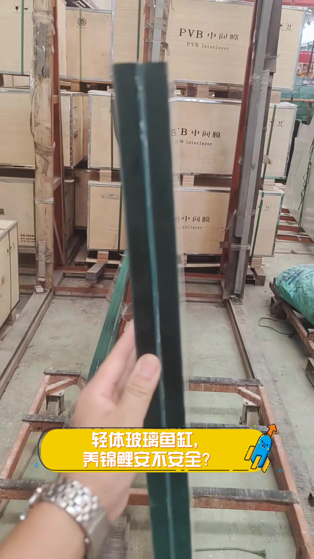轻体玻璃鱼缸，养锦鲤安不安全？