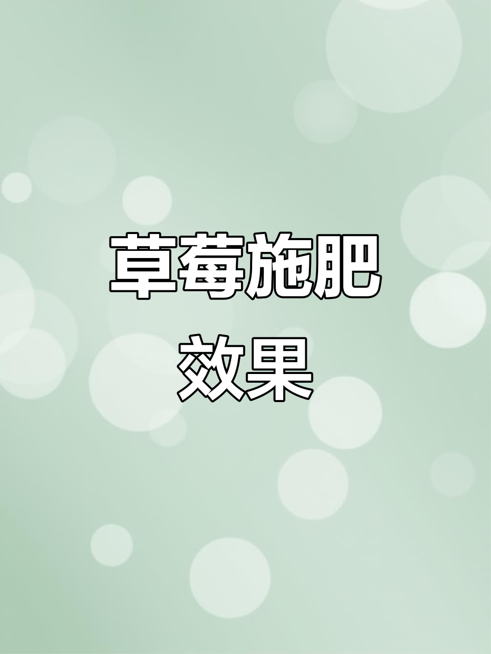 草莓施肥技巧:鱼蛋白肥料助力根系生长