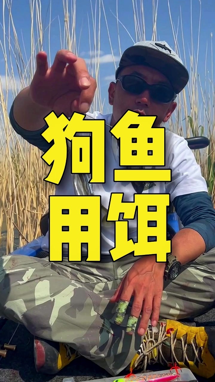 我的钓鱼日记|狗鱼用铒