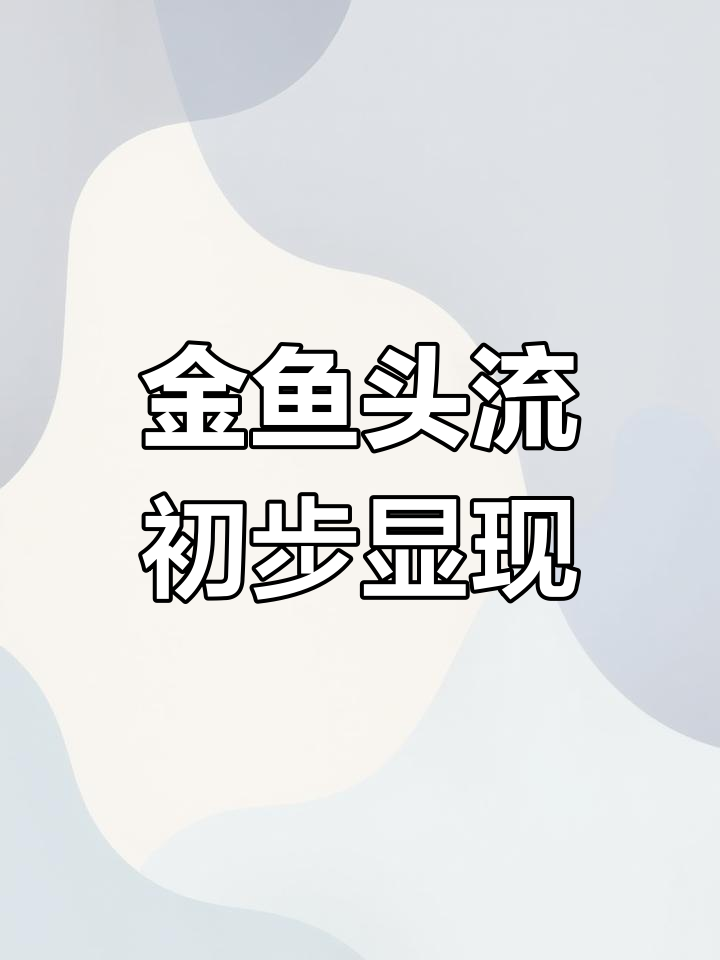 兰寿金鱼繁殖观察:头流现象初现