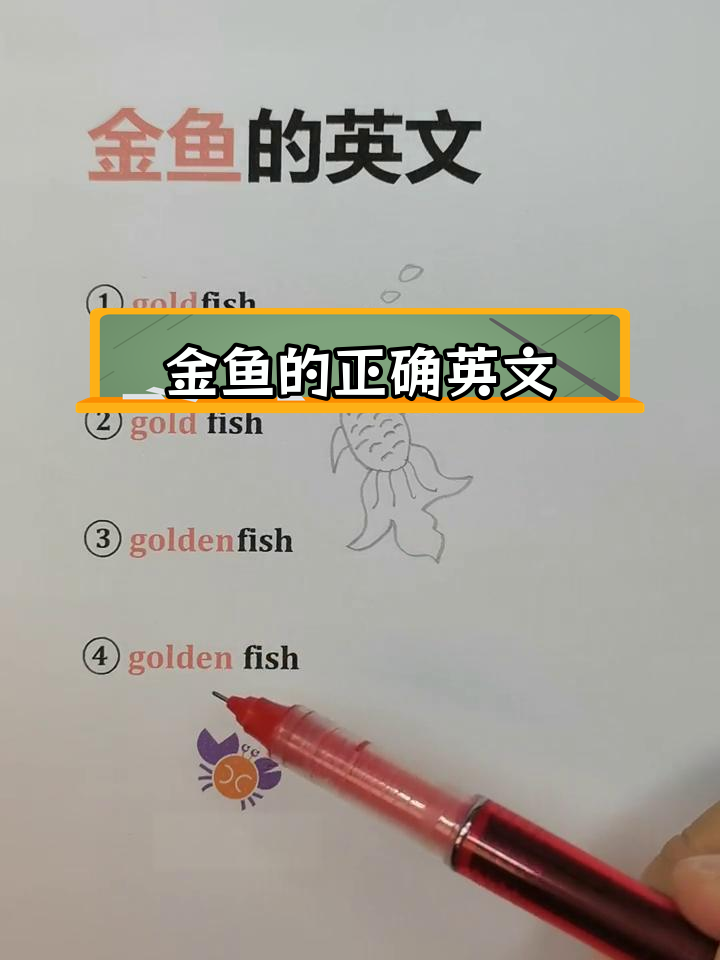 金鱼英语写法解析