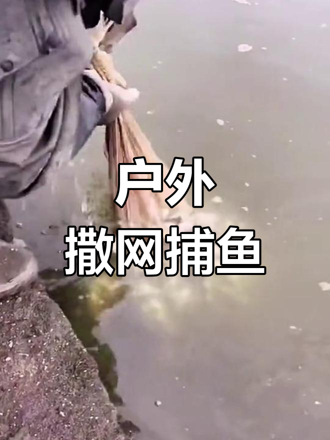渔民撒网捕鱼大作战,满载而归的惊险时刻