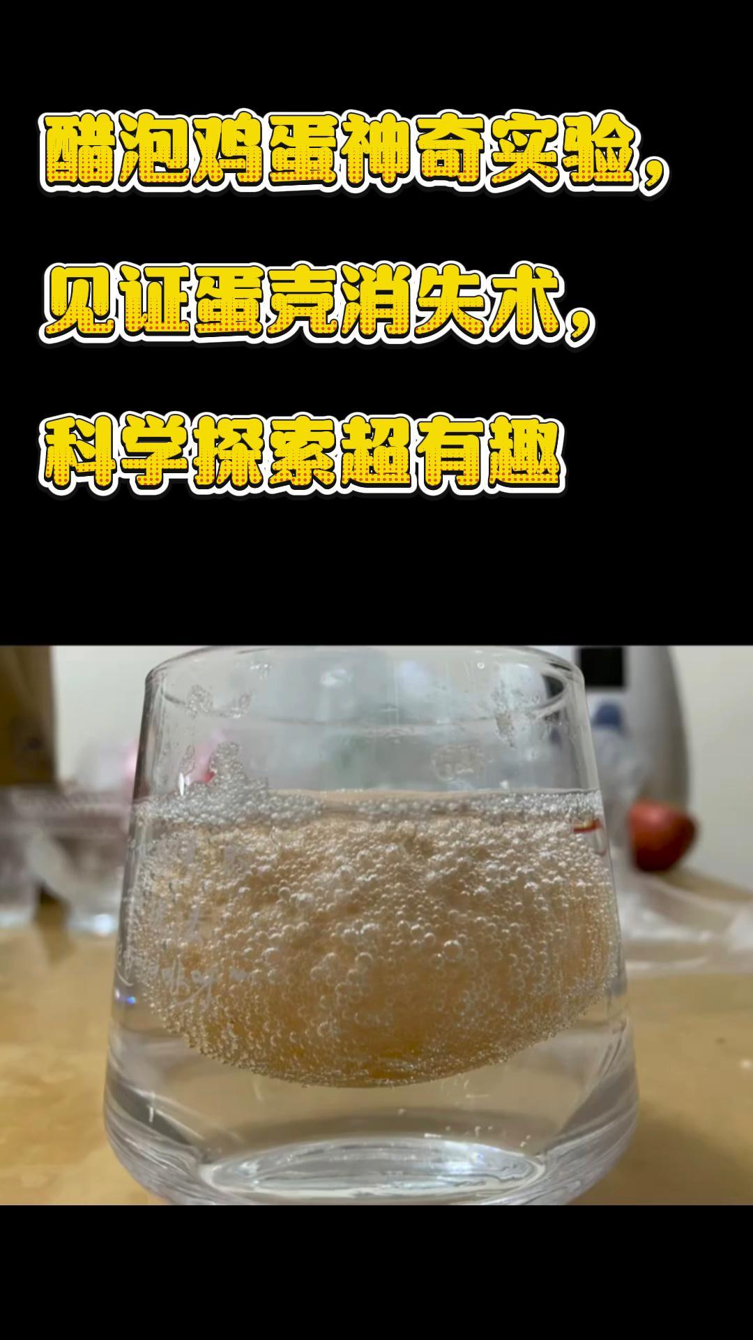 醋泡鸡蛋神奇实验,见证蛋壳消失术,科学探索超有趣