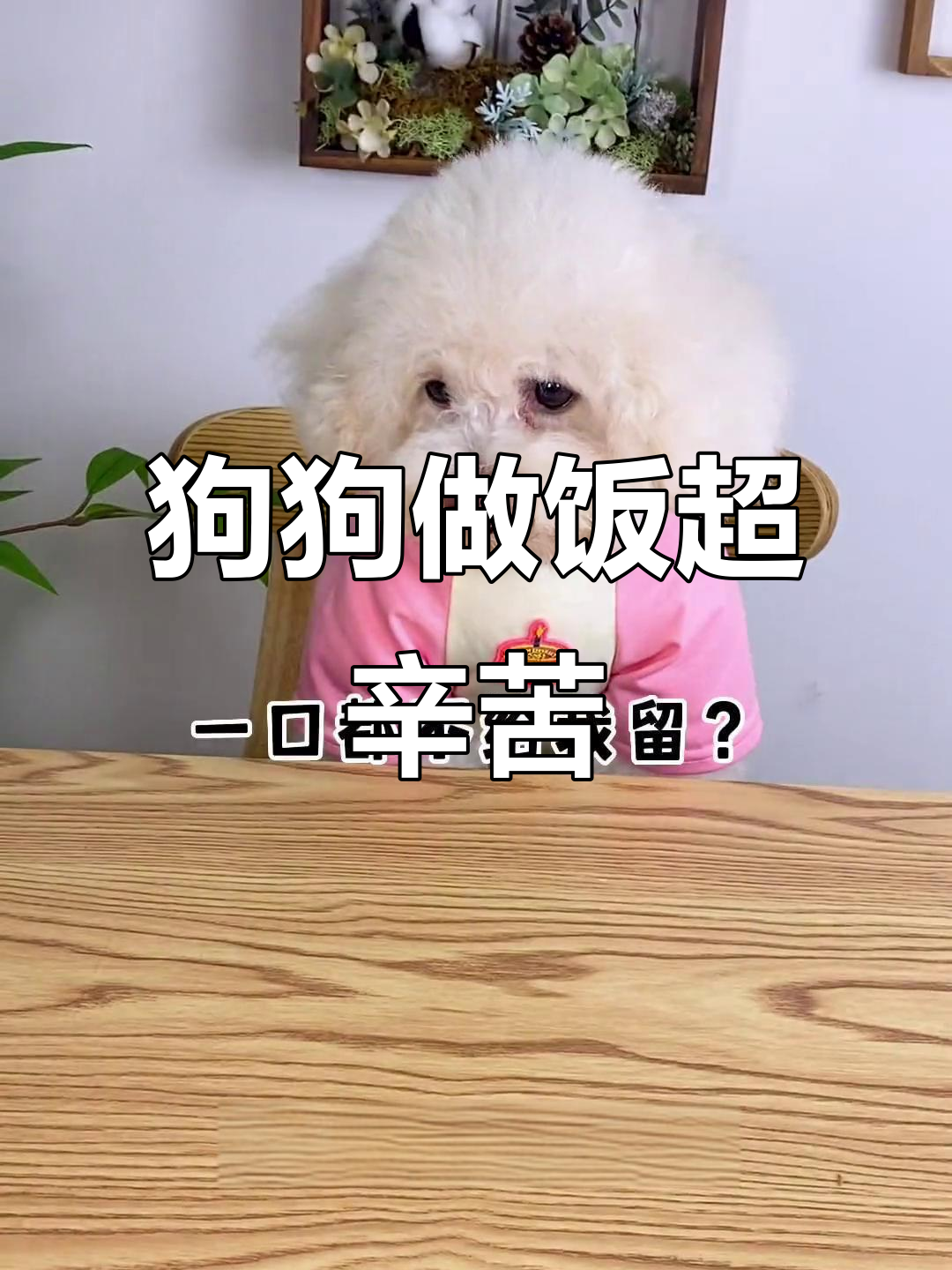 飞机前做香锅奶茶,狗狗忙得不可开交!