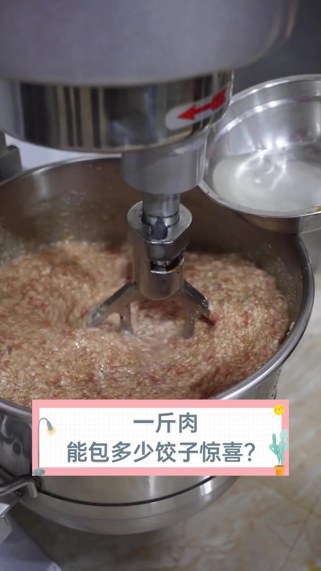 一斤肉,能包多少饺子惊喜?