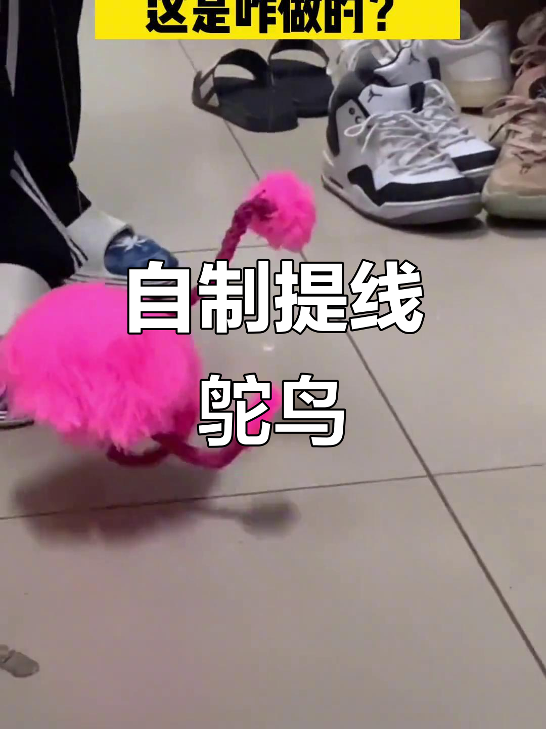大学生自制提线鸵鸟,竟然这么有趣!