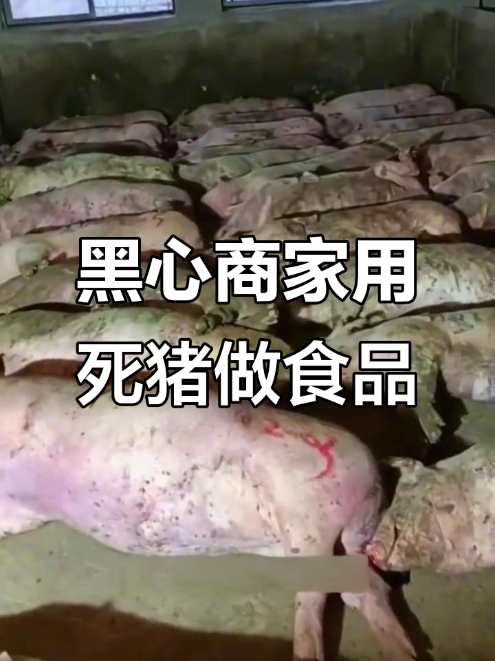 死猪肉竟能做成火腿肠?食品安全问题曝光!