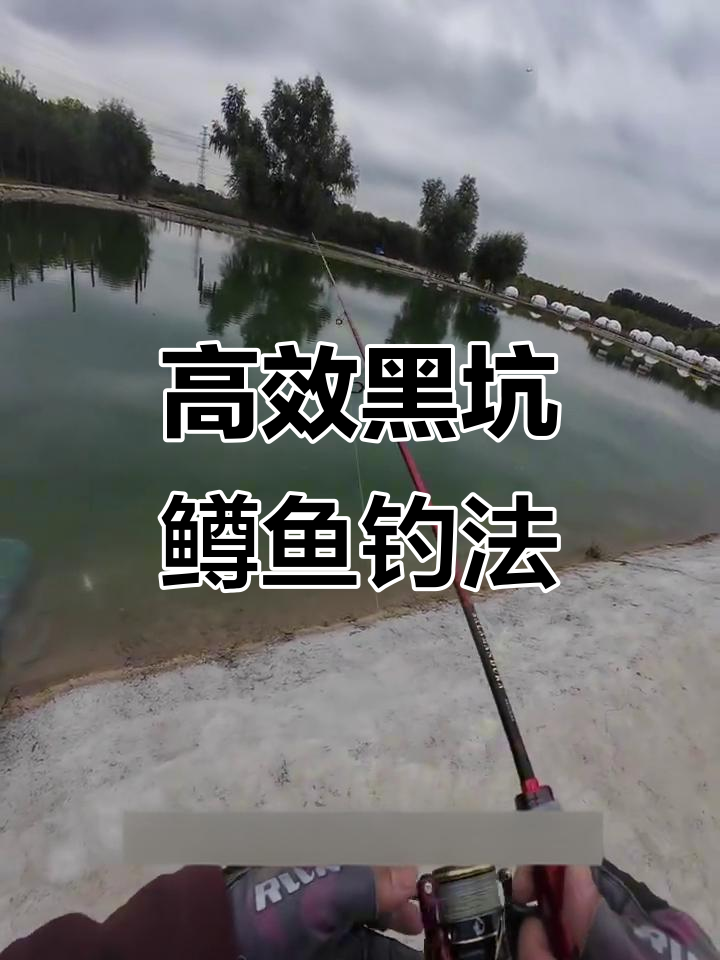 黑坑鳟鱼钓法大揭秘,纺车轮搭配小饵轻松上货