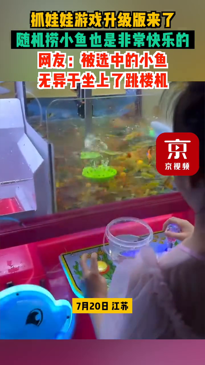 抓娃娃游戏升级版来了!随机捞小鱼也是非常快乐的