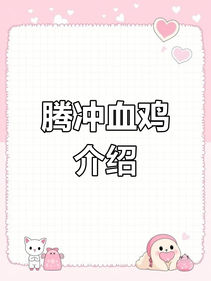 腾冲雪鸡:美丽与美味并存的特色品种