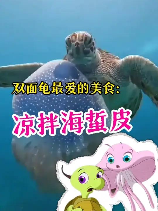 原来《小鲤鱼历险记》里双面龟喜欢小美美是因为想吃她……#科普 #海龟 #水母 #离谱