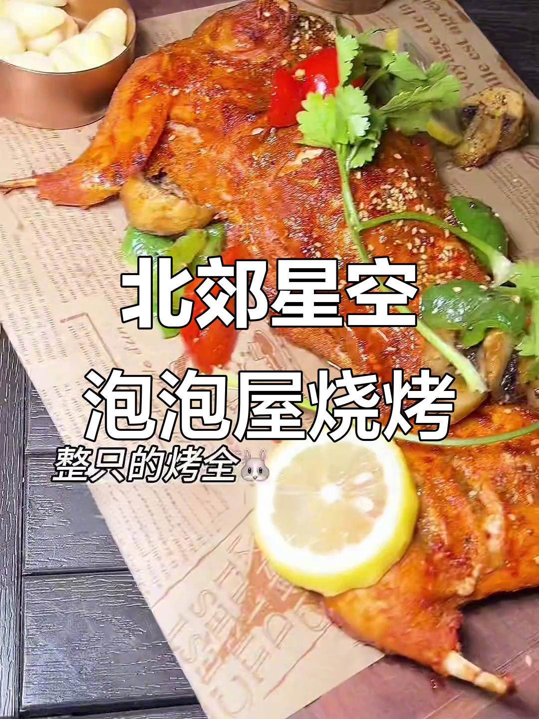 西安北郊绝美星空泡泡屋,烧烤餐厅让你流连忘返