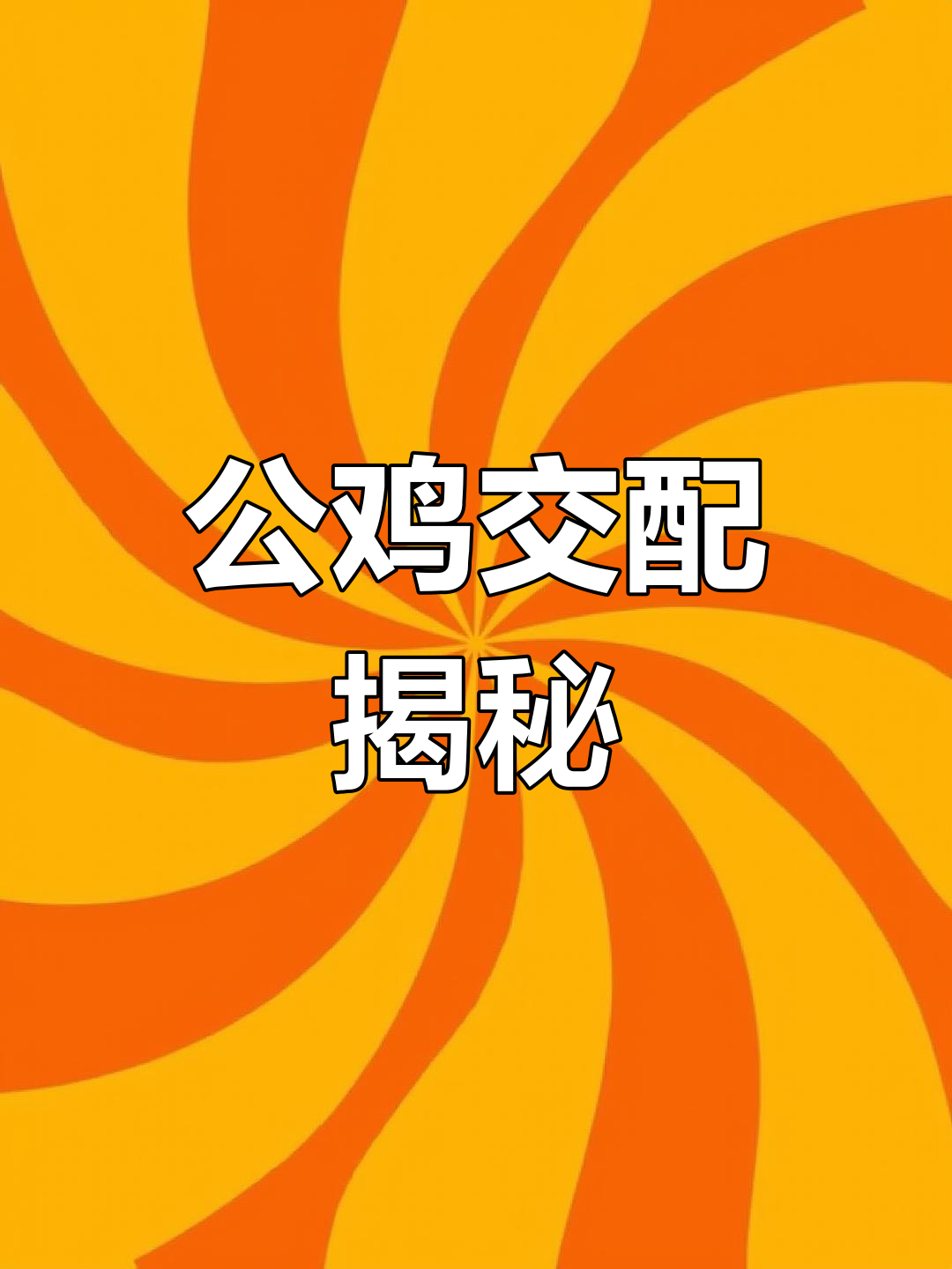 公鸡如何与母鸡交配?原来秘密在这里!