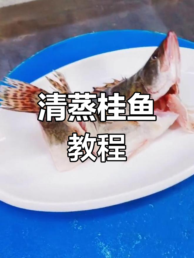 感谢支持,加班2小时献上清蒸桂鱼做法!
