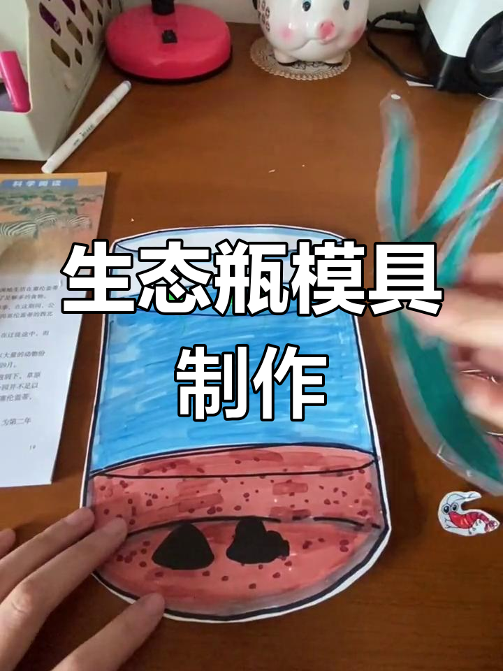 五年级科学实验:生态瓶制作与观察