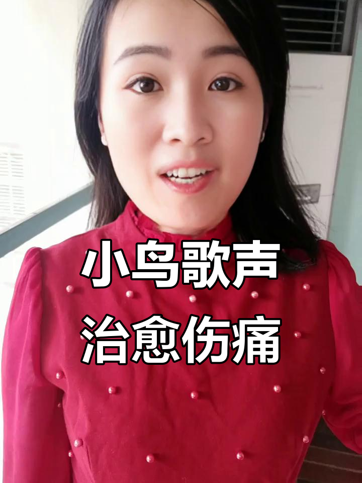 派大星也有悲伤时刻,小鸟的歌声如何治愈心灵