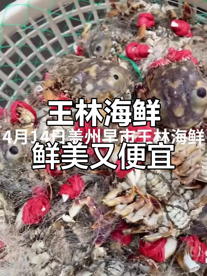 盖州王林海鲜:肥美母蟹、踏板鱼和特大箭头鱼的绝佳选择