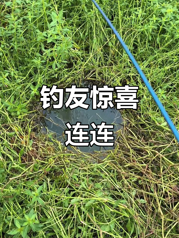 钓鱼人必看!黄金鲫鱼和黄辣丁接连上钩,水深惊人