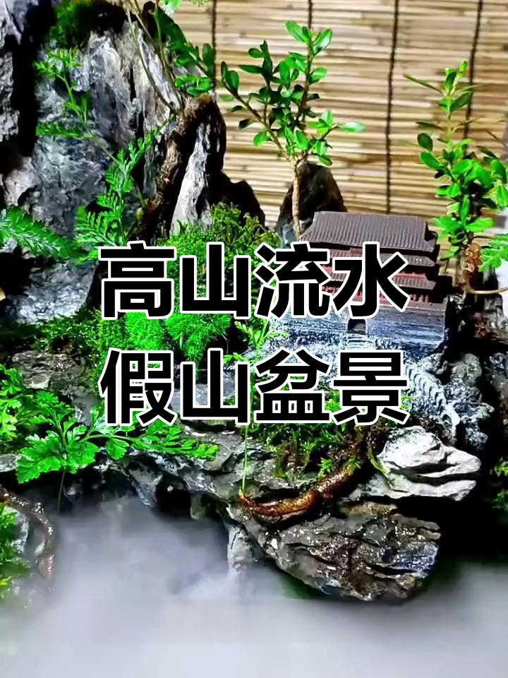 古法养鱼缸假山制作,高山流水与微景观完美结合