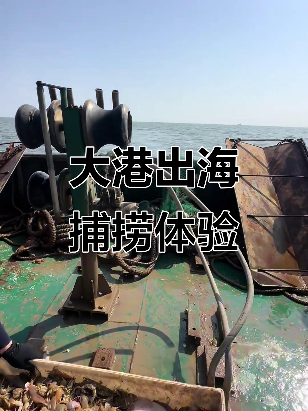 天津大港出海捕鱼,豪华观光船体验深海之旅