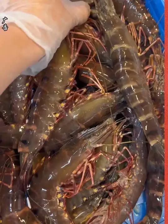 鲜美极了百吃不厌!家常菜黑虎虾大虾虾海鲜美食m