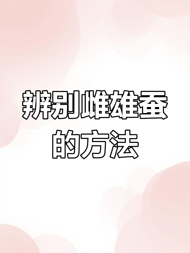 如何分辨桑蚕的公母