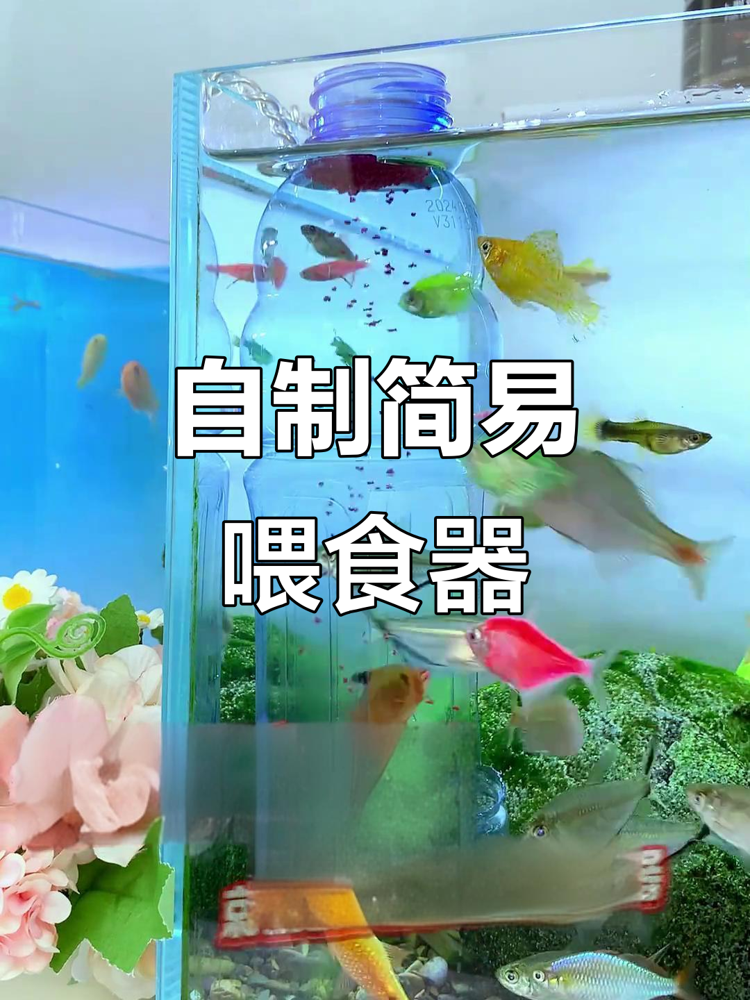 简单DIY喂食器，轻松解决鱼粮乱飞问题