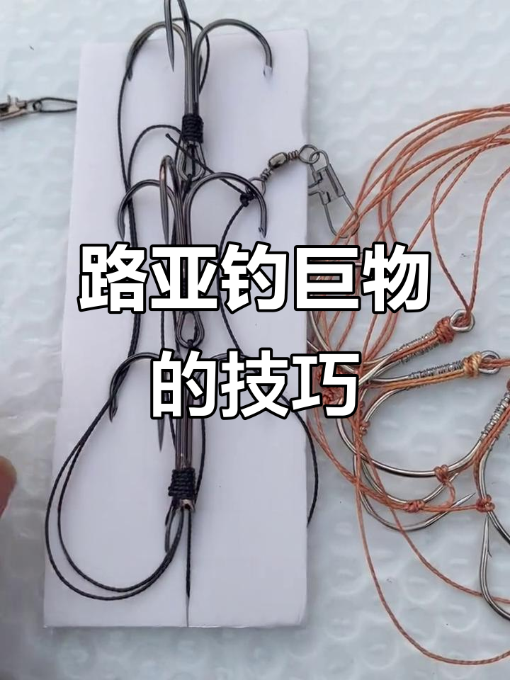 巨物钓法揭秘:锚钩与路亚鱼钩的完美搭配