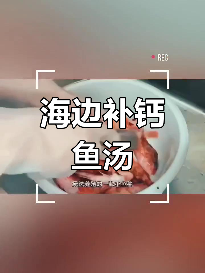 这款海边补钙鱼汤,鲜甜无比!野生十九公鱼的独特美味