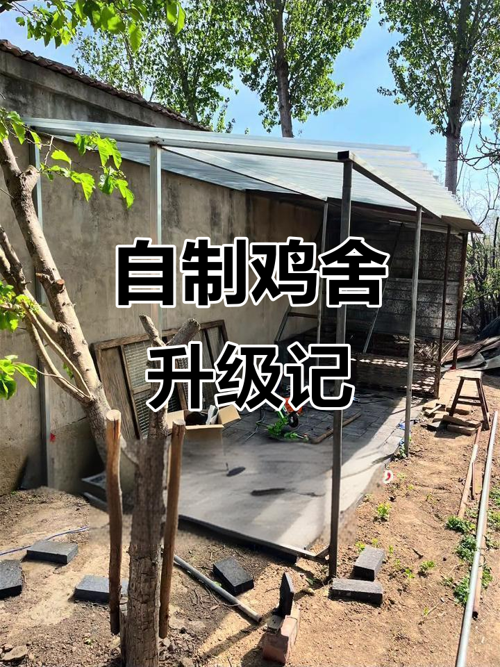 旧鸡舍改造大变身，亲手打造全新结构与设施