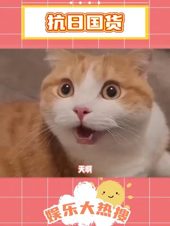 给抗日英雄捐过物资的国货!嘉顿小饼干!