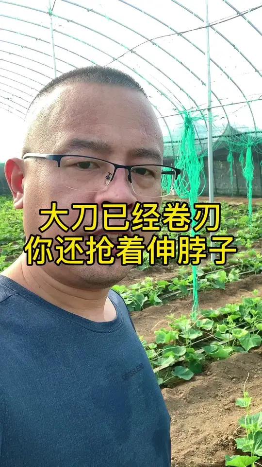 创作灵感 大刀已经卷刃,你还抢着伸脖子 种植小技巧 记录我的种植生活 乡村生活家 2024