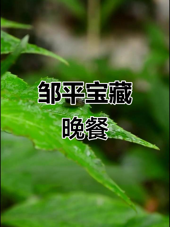 邹平隐藏的山水宝地，砂锅炖大鹅与野菜搭配绝妙