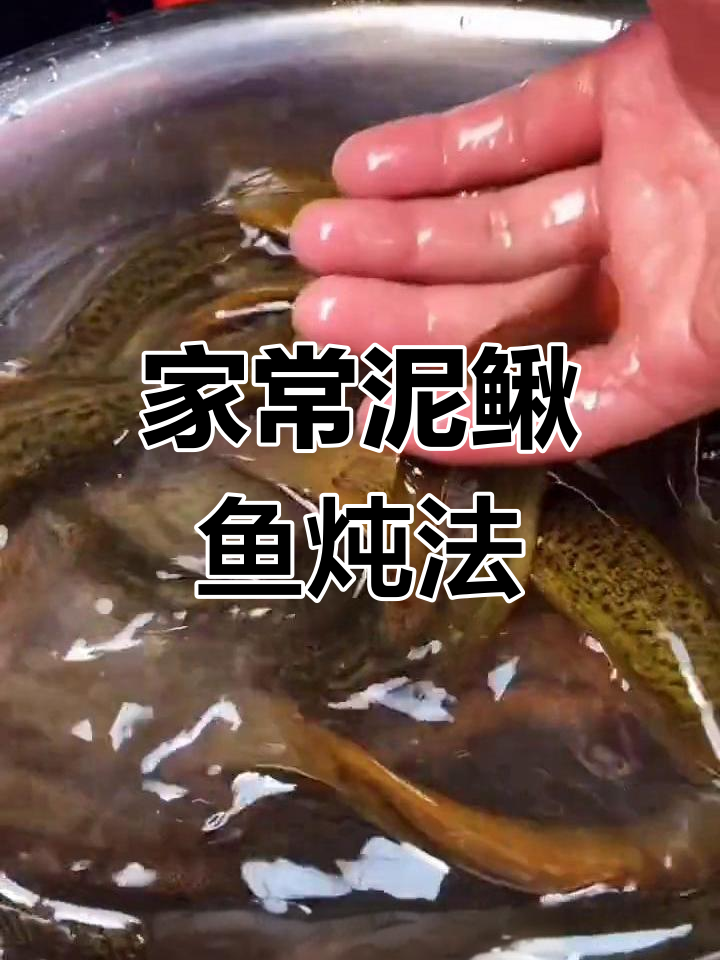 活泥鳅鱼炖出美味,家常下饭做法大揭秘