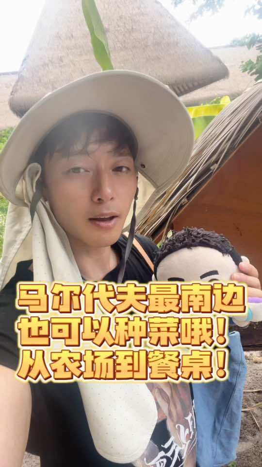 在马尔代夫的Mercure酒店,当一个小菜农,体验从菜园到餐桌的热带生活!马尔代夫 马尔代