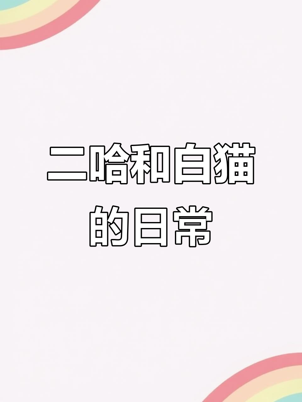 二哈与白猫师尊的燃晚日常,肉包不吃肉的搞笑互动