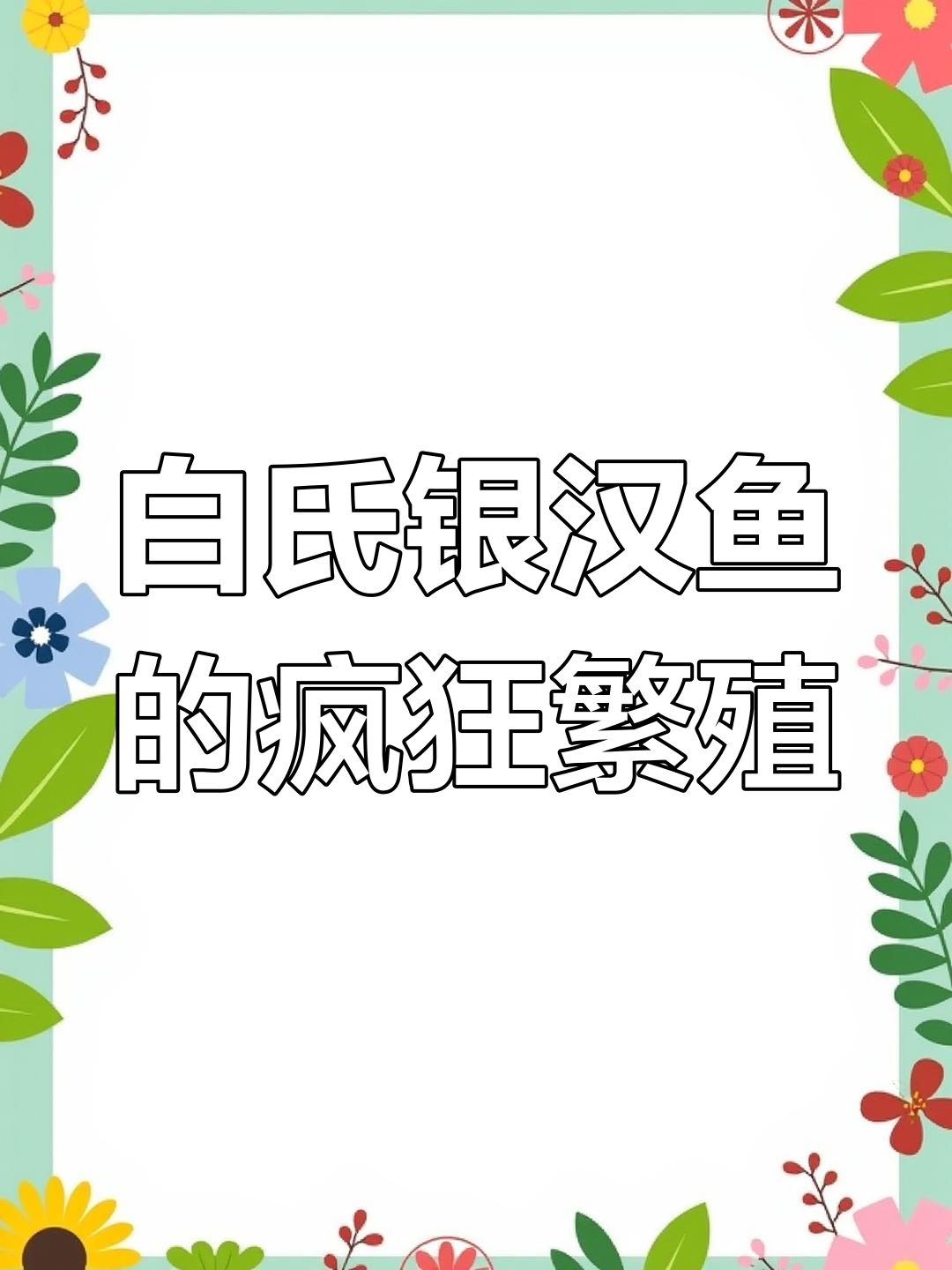 银汉鱼海滩自杀式交配,数十万条鱼聚集狂欢