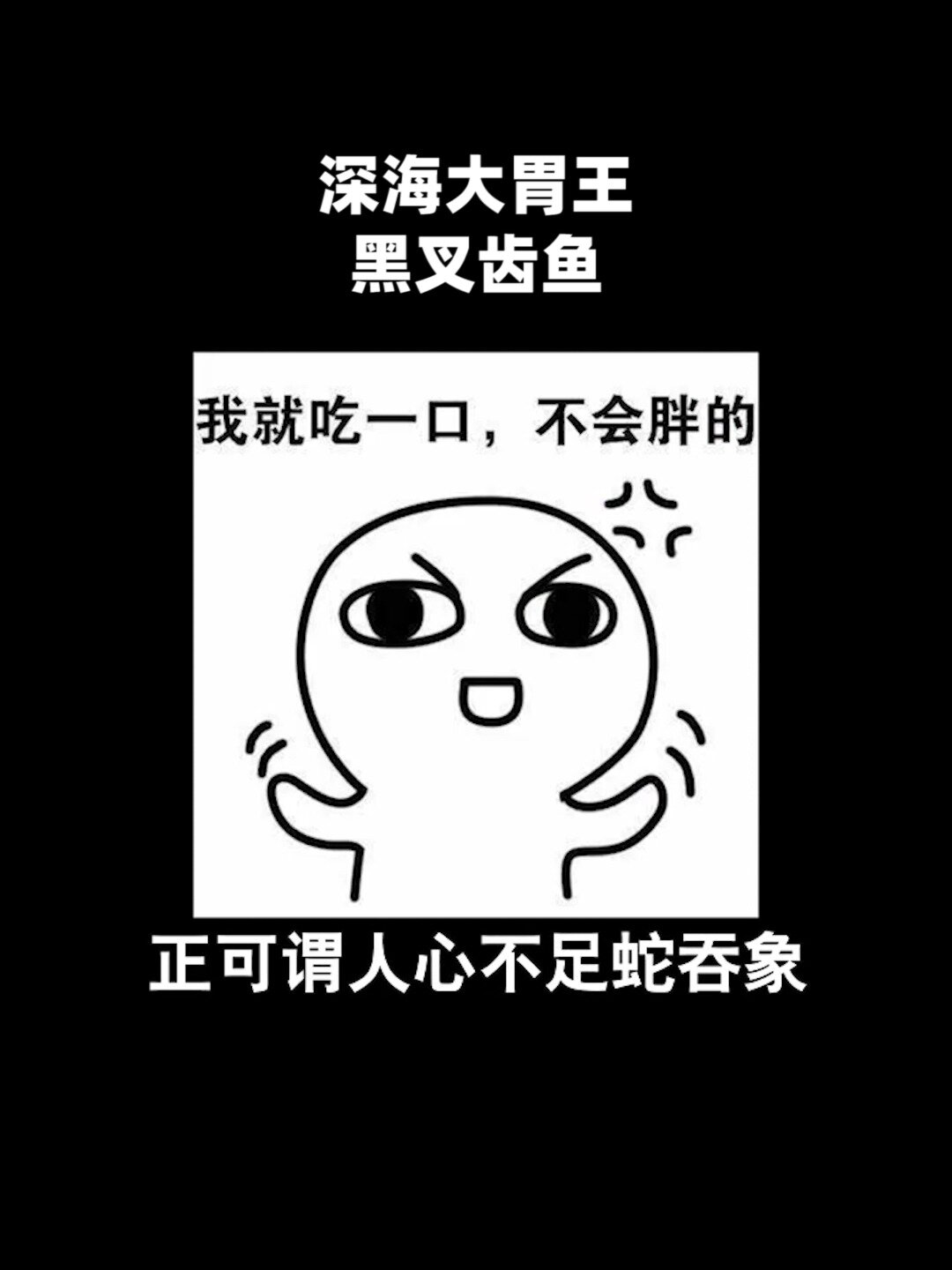 深海吃货——黑叉齿鱼