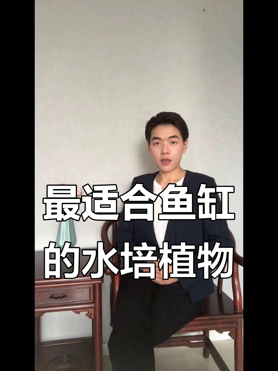 鱼缸里最适合养的水培植物,富贵竹和白菜都能美化水质
